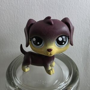 2/$20 Littlest Pet Shop LPS Dachshund Blue Dot Eyes #8